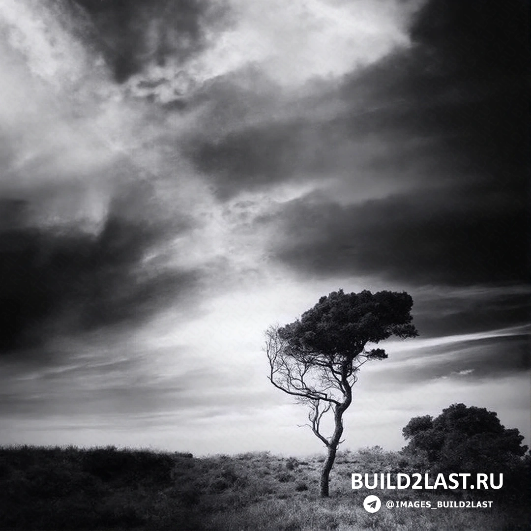 Черно-белая фотография с акцентом на контрастные оттенки.