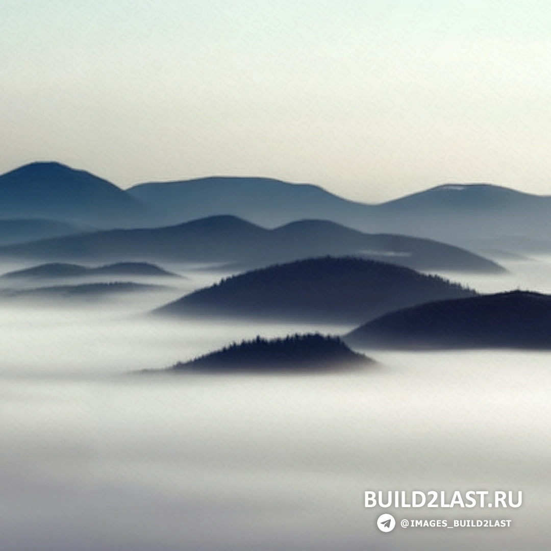 Лесная тропа, покрытая росой и освещенная первыми лучами солнца