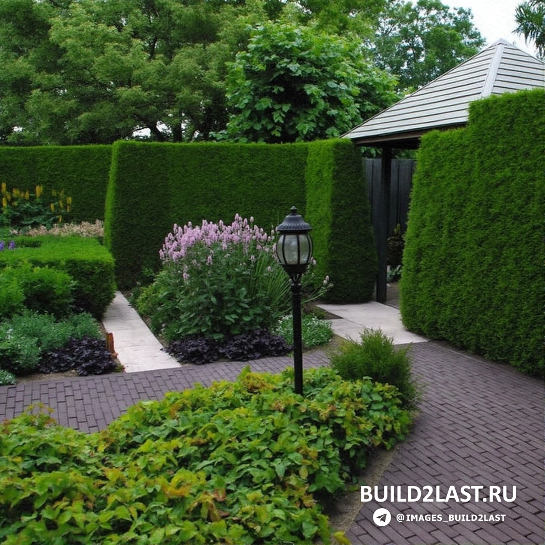 Пример живой изгороди в ландшафтном дизайне.