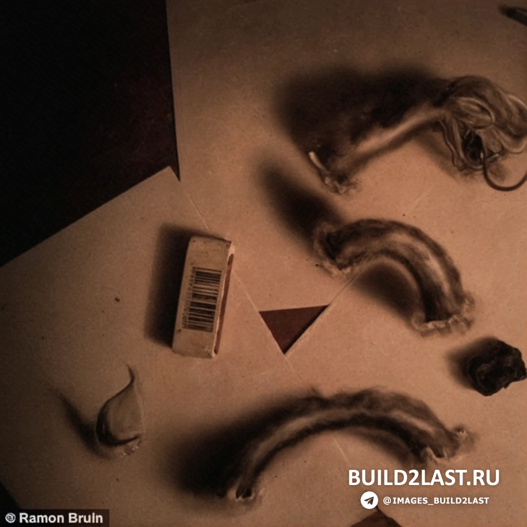 Живопись и реальность сливаются: птица парит над холстом